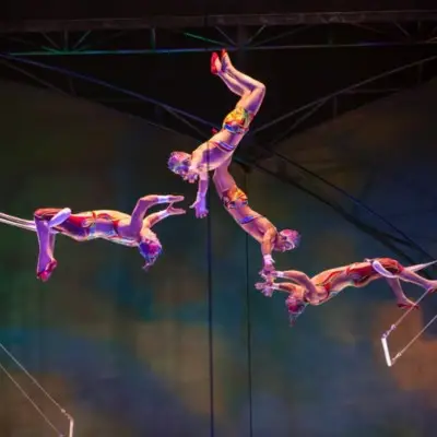 Four acrobatic performers from Cirque du Soleil's Mystère show mid-air during a trapeze act