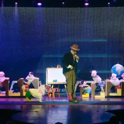 Popovich Comedy Pet Theater with dogs performing in Las Vegas